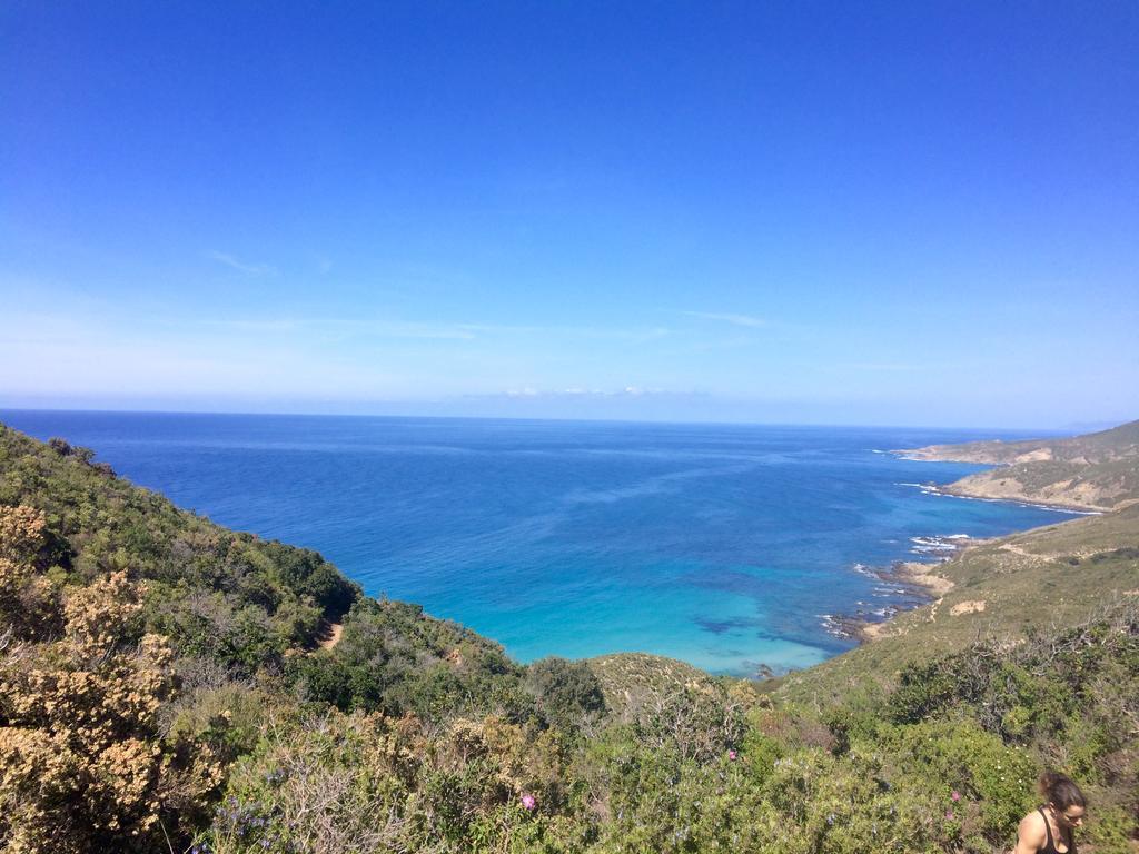Calvi Appart Hotel Buitenkant foto