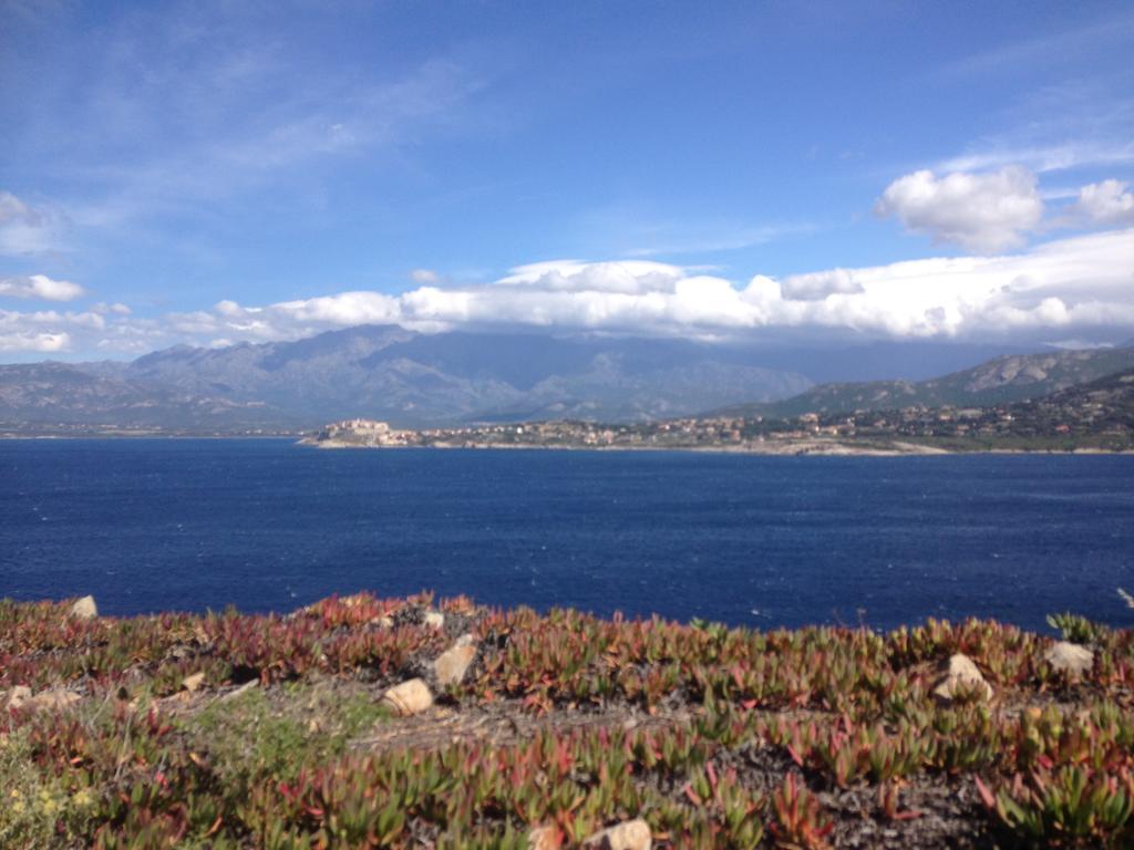 Calvi Appart Hotel Buitenkant foto